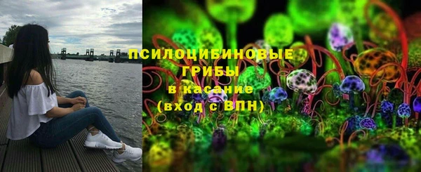 Альфа ПВП Горнозаводск