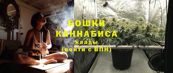 Альфа ПВП Горнозаводск