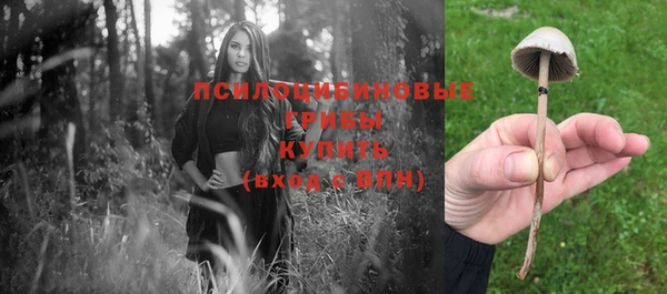 spice Горно-Алтайск