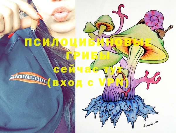 Альфа ПВП Горнозаводск