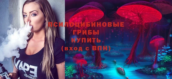 молекула духа Горняк