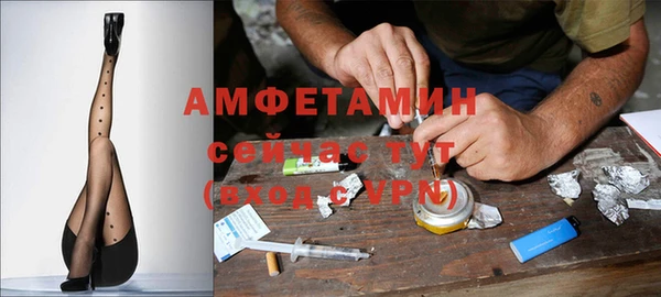 молекула духа Горняк